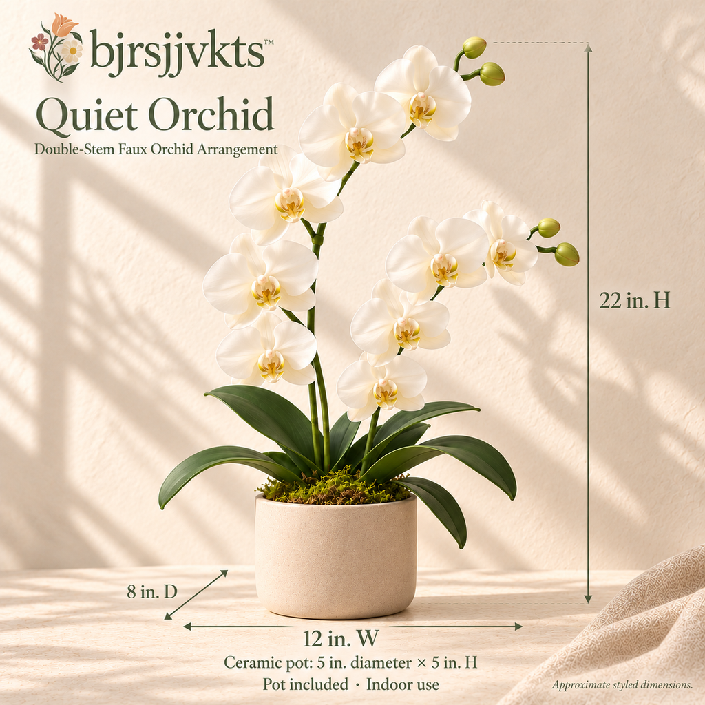 bjrsjjvkts™ Quiet Orchid Artificial Phalaenopsis Arrangement, White Double-Stem Faux Orchid in Ceramic Pot, Desk & Console Table Decor